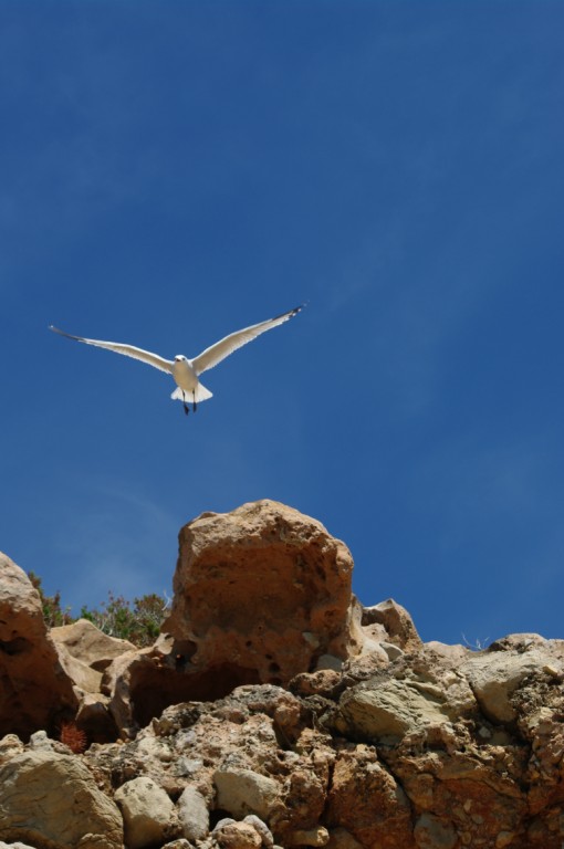 cala salada